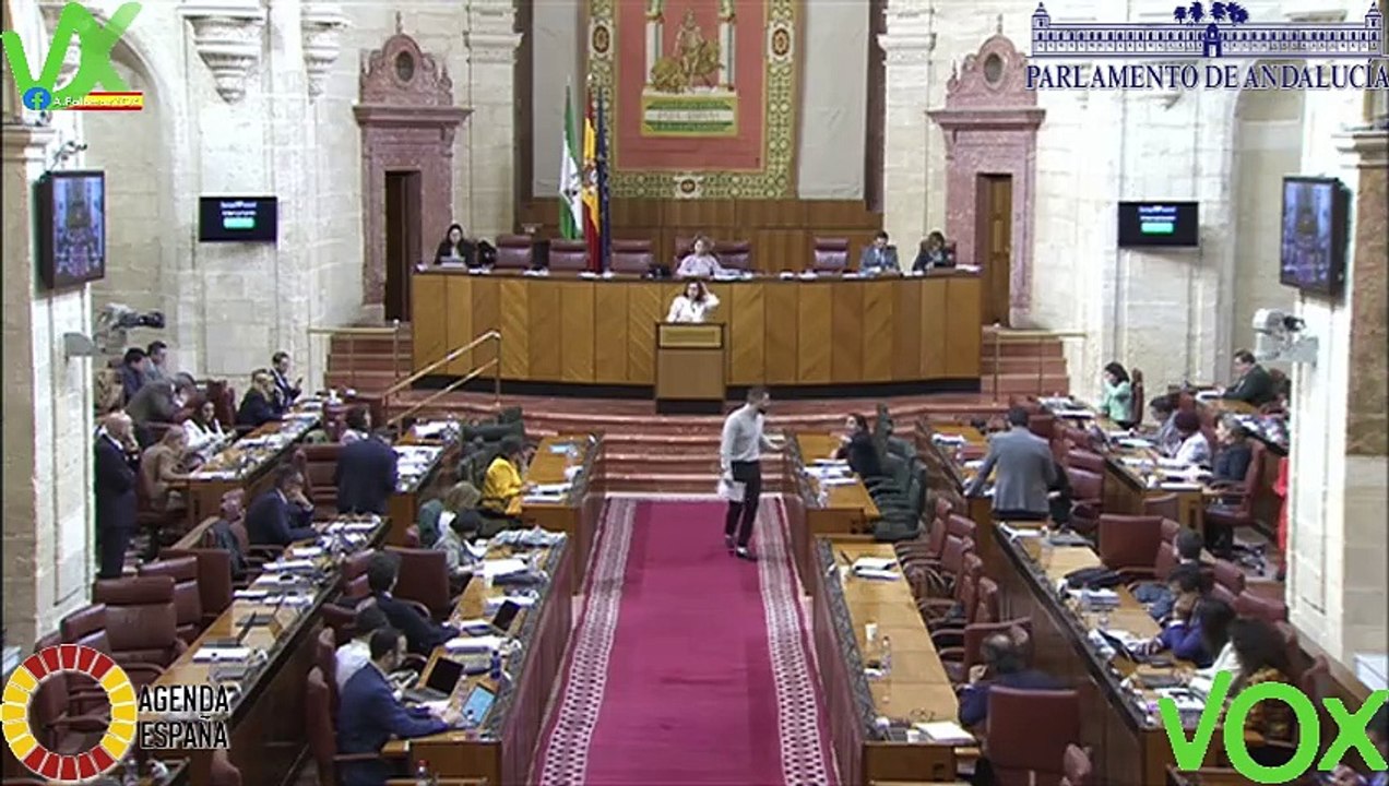 Mª Mercedes Rodriguez Tamayo en Comparecencia de Consejera de Inclusión Social. Pleno 21.02.2024