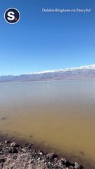 Kayakers Take Advantage of Temporary Death Valley Lake