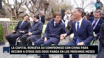 La capital renueva su compromiso con China para recibir a otros dos osos panda en los próximos meses