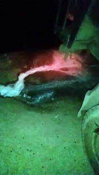 1700 liters of milk being used in making cheese was destroyed