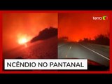 Pantanal em chamas: incêndios atingem vegetação e acendem alerta