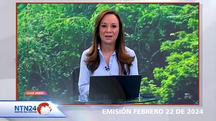 Consumismo desmedido afecta el medio ambiente, advierten estudios