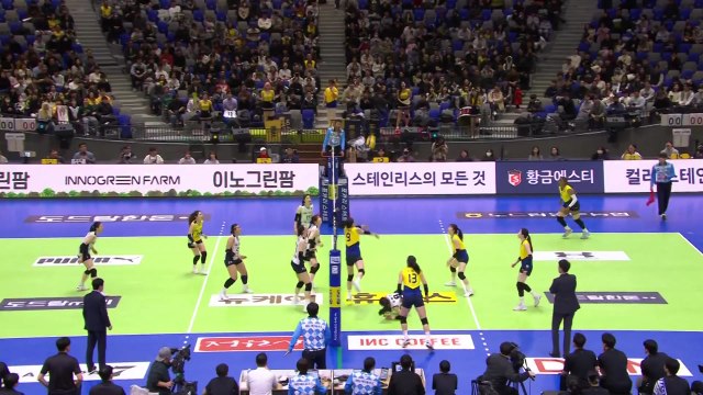우리카드·현대건설, 프로배구 남녀부 선두 탈환 / YTN