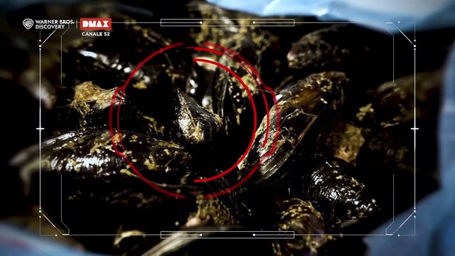 Nel centro storico di Bari cè un ristorante di pesce non a norma arrivano subito i NAS