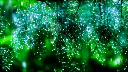 30 MINUTES Calming Music + Soft Rain Sounds_ Sleep Music • Relaxing Music • Meditation • Yoga • Spa