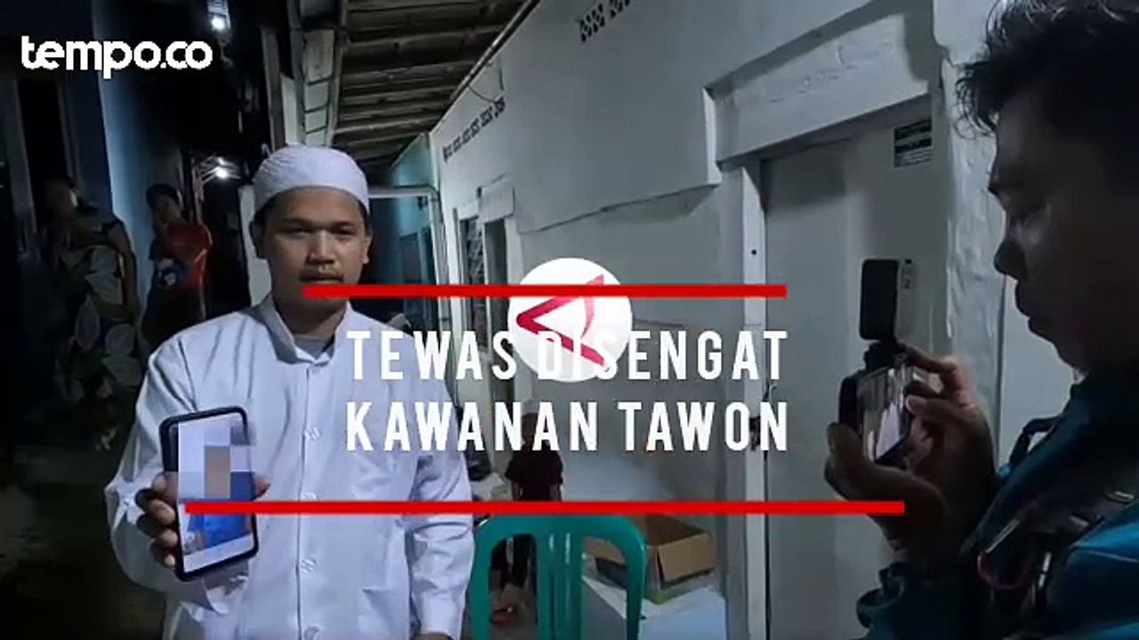 Warga di Bogor Tewas oleh Kawanan Tawon, Petugas Evakuasi Sarangnya