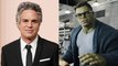 Mark Ruffalo Doesn't Think a Standalone 'Hulk' Movie Will Ever Happen | THR News Video