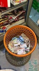 Cat Cuddles in Basket Full of Cash