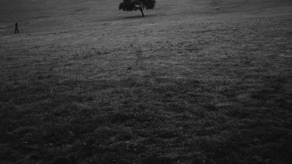 glaive - even when the sun is dead, will you tell them how hard i tried (Lyric Video)