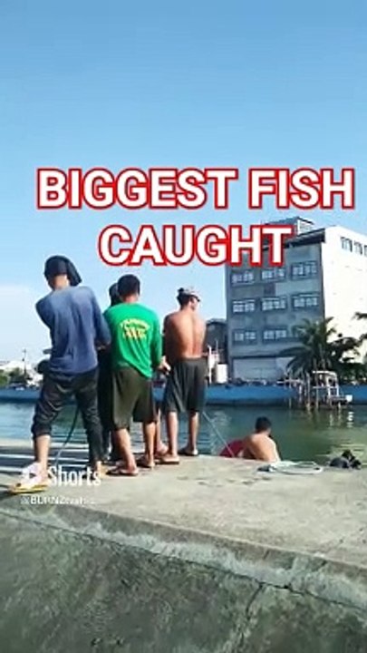 MONSTER FISH