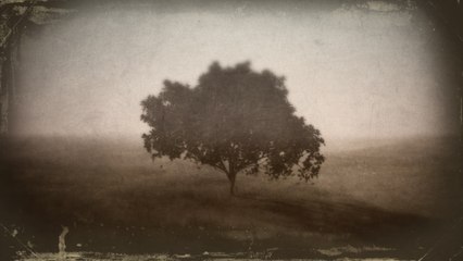 T Bone Burnett - Waiting For You (Visualizer)