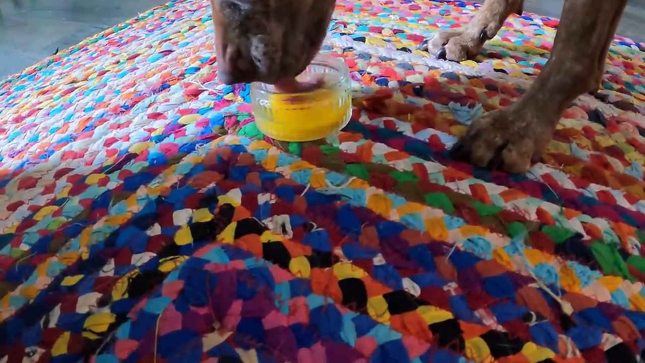 The Life Of EFFY Part 2