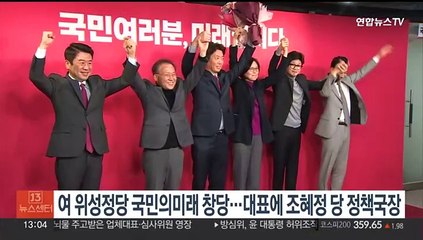 여 위성정당 '국민의미래' 창당…대표에 조혜정 당 정책국장