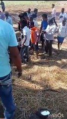 पेड़ से टकराई कार, छह की मौत, चार लोग गंभीर घायल