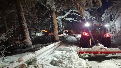 경북 울진 폭설로 전신주 무너져...220여 가구 정전 / YTN