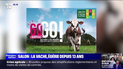 Pourquoi une vache est toujours l'égérie du Salon de l'agriculture