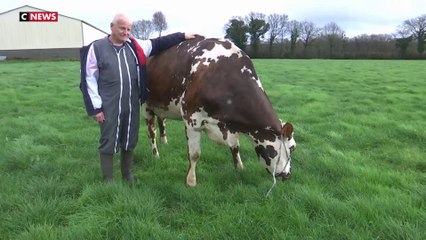 Oreillette, l'égérie du Salon de l'agriculture 2024