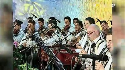 Georgel Nuca, Silvana Raciu, Marius Josceanu, Gabriel Andrei si Alexandru Petcu - Zarzarica, zarzarea