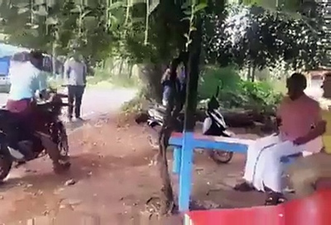 Funny video clip