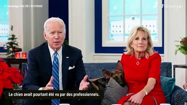 Joe Biden à nouveau dans la tourmente : Son chien trop agressif à la Maison-Blanche, il prend une décision radicale
