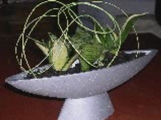 Créations Art Floral