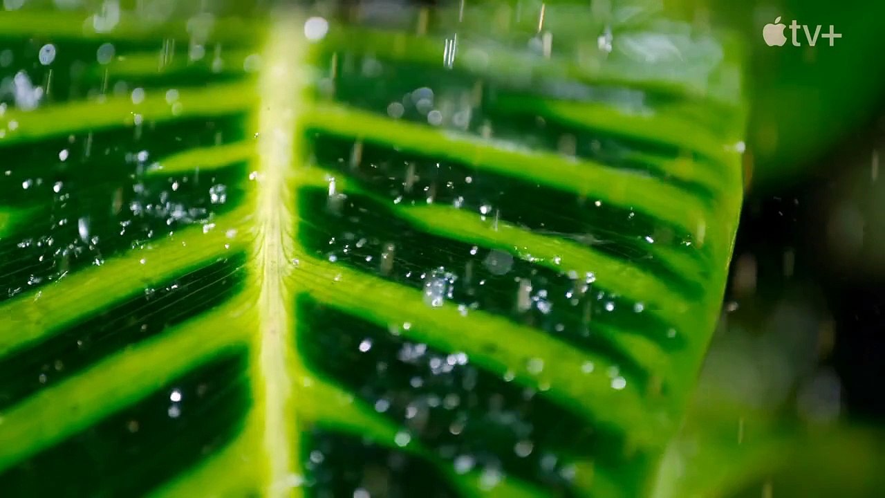 Die Sprache der Erde Teaser OV