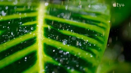 Die Sprache der Erde Teaser OV