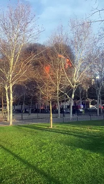 Incendio Valencia
