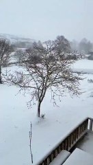 Norte do país acordou pintado de branco. Louis já trouxe neve a Portugal