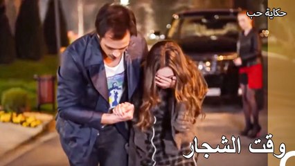 أوقع تولغا نفسه في المشاكل - حكاية حب