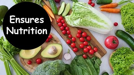 Delving into the Reasons Why Dogs Require Supplements 