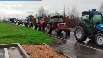 video/audio dalla manifestazione dei trattori di Reggio