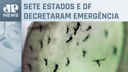 Brasil ultrapassa 700 mil casos prováveis de dengue