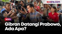Gibran Tiba-tiba Datangi Kediaman Prabowo Jumat Sore, Ada Apa?