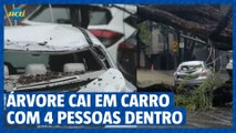 Árvore cai e atinge carro com 4 pessoas dentro, em BH