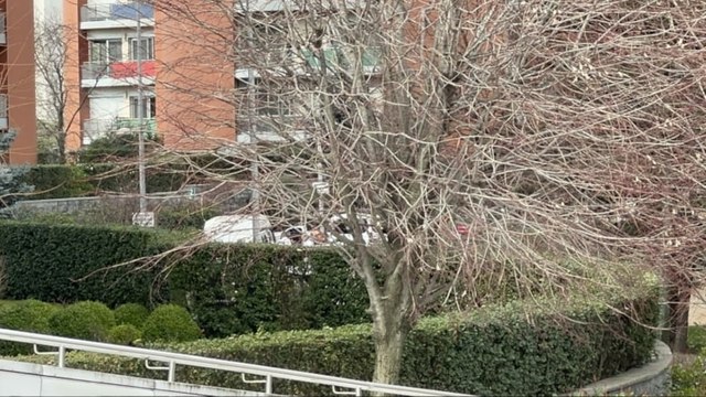 Ümraniye'de dehşet: dini nikahlı eşi kadın ve 2 kızını öldürdü