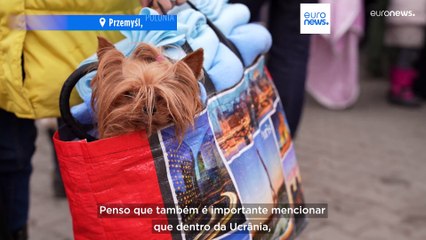 As notícias do dia | 23 fevereiro 2024 - Tarde