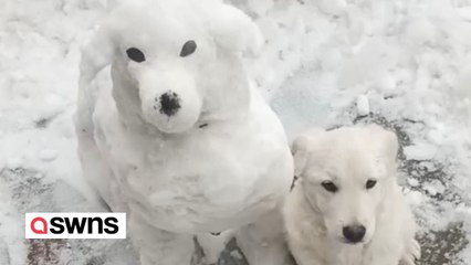 Man creates 'snowdog' in spitting image of his pet dog