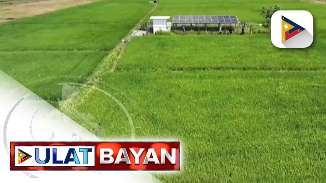 D.A., bumuo ng technical working group para tulungan ang Kongreso na amyendahan ang Anti...