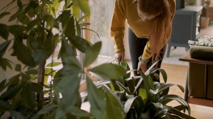 How to Keep Your Plants Happy While You Vacation