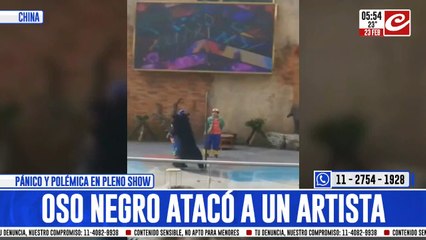 Terror en el circo: así un oso atacó a un artista en pleno show