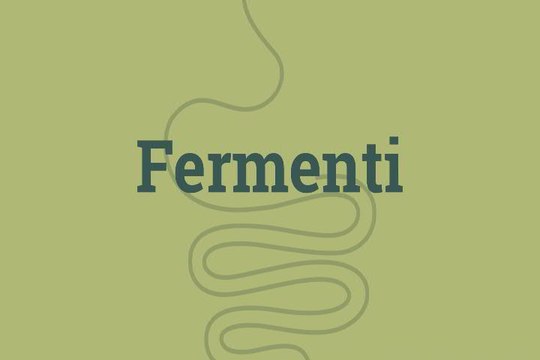 Viaggio nel microbiota: 'Le allergie fuori dai luoghi comuni. L'impatto dei batteri intestinali'