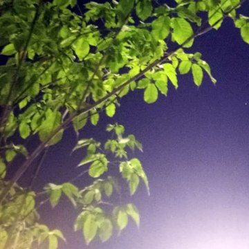 -Jacobo Shemaria Capuano- Cambio climático y sus efectos en el medio ambiente: (Parte 1) (Creado por @JacoboShemariaCapuano)