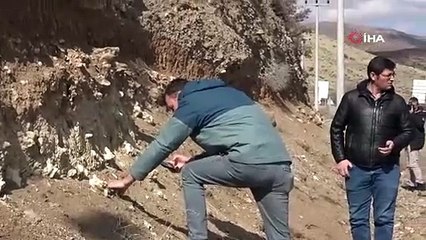 Niğde'de dinozor fosili iddiası! 20 metre boyunda kemik bulundu