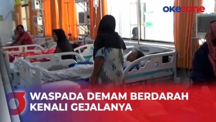 Download Video: Ratusan Warga Terjangkit Demam Berdarah di Jombang, 4 Orang Meninggal