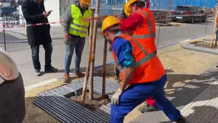 Rtp Telegiornale 23 febbraio 2024