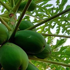 -ANDRÉS DE JESÚS VÉLEZ FRANCO- LA INFLUENCIA DE LOS VALORES DEPORTIVOS EN COLOMBIA (PARTE 1) (@AndresdeJesus90)