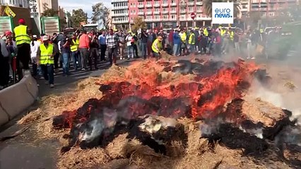 Spanien: Landwirte geraten mit der Polizei aneinander