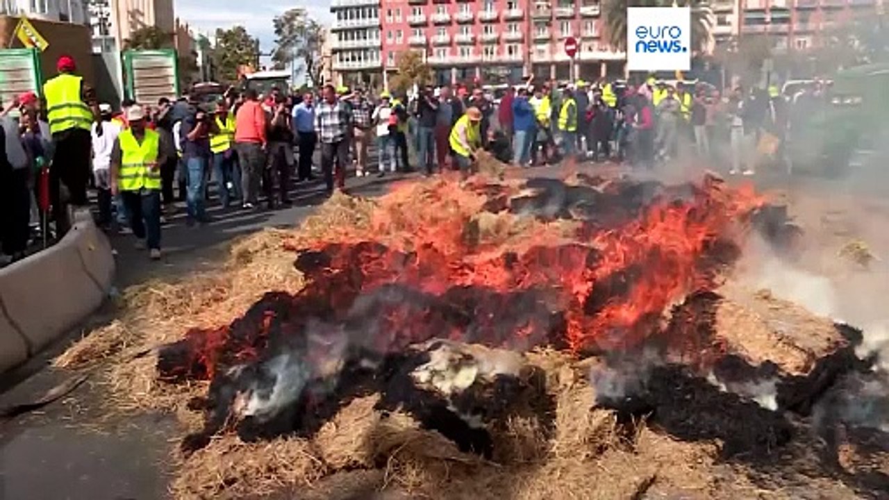 Spanien: Landwirte geraten mit der Polizei aneinander