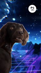 On peut contrôler ses rêves ?